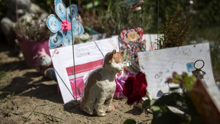 'Sharleyne was niet miezerig maar een levenslustig kind ...