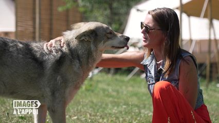 25. Eoliennes : quels dangers pour les chiens ?