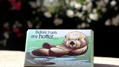 "Denk aan de otter!": milieu-organisatie brengt wel heel speciale condooms uit