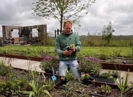 Zet déze planten in de tuin tegen schadelijke diertjes