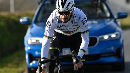 Op zoek naar de Flandrien in wereldkampioen Alaphilippe