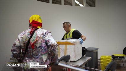 2. Transport d’animaux exotiques