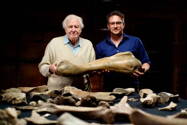 Attenborough and the mammoth graveyard