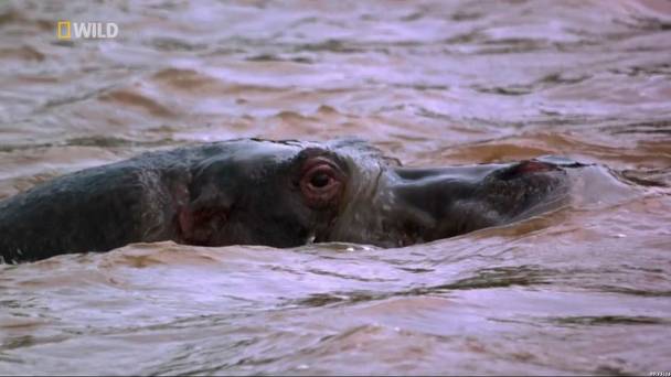 Africa's Blood River