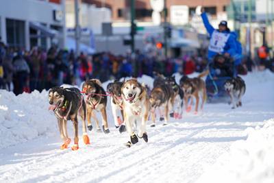 Zwaarste hondenrace ter wereld start in Alaska