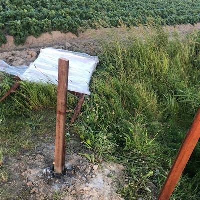 Deel sonnettenkrans Ellemeet kort voor officiële opening vernield door vandalen.