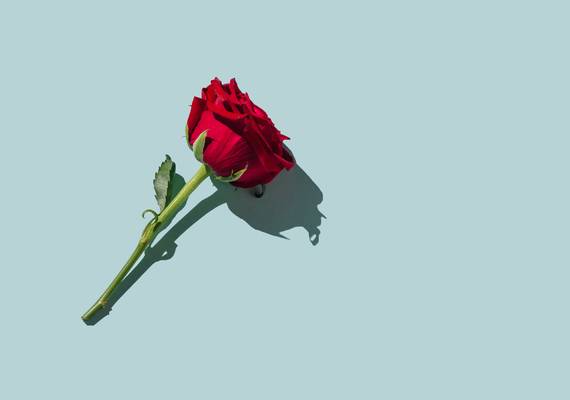 Déze sterrenbeelden hebben een ontzettende hekel aan Valentijnsdag