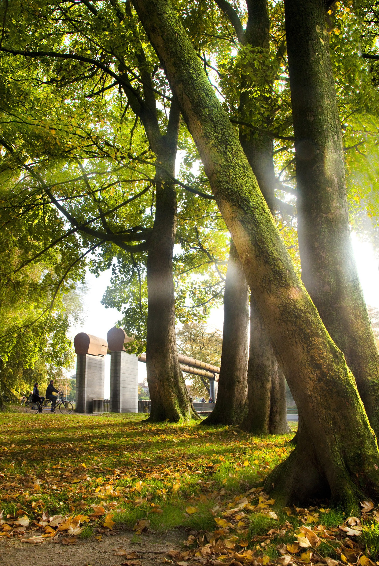Wallpaper De 20 Beste Looproutes In Vlaanderen En Brussel De Morgen Free HD