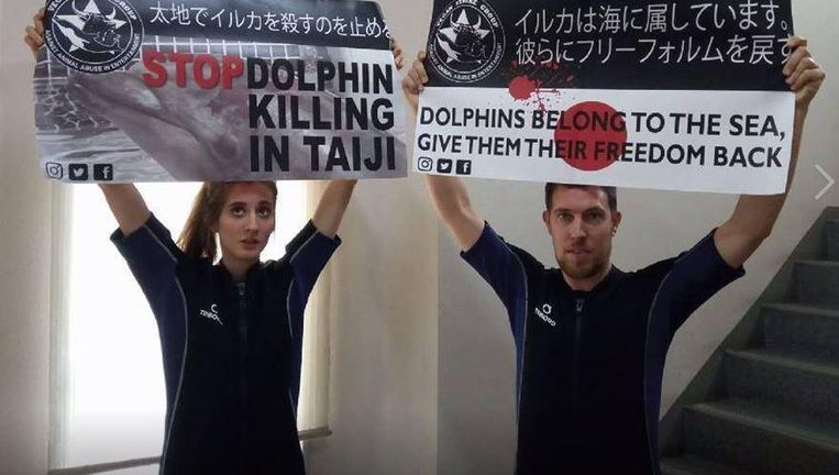 Kirsten De Kimpe en haar Nederlandse kompaan protesteren tegen de dolfijnenjacht in Japan. Ze verstoorden zondag een dolfijnenshow door in het water te duiken.