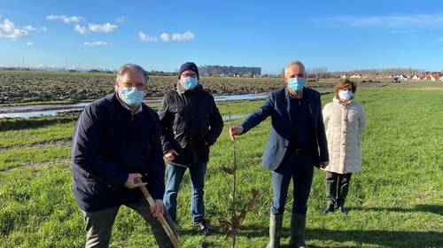 Knokke-Heist betaalt 7 miljoen euro voor volledig nieuw bos