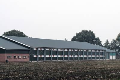 Buurman en pluimveehouder nog steeds tegenover elkaar: ‘Ik ga echt niet voor de lol procederen’