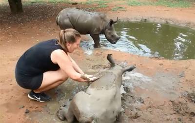 ‘Neushoorntje dat wilde drinken bij dode moeder is in orde’