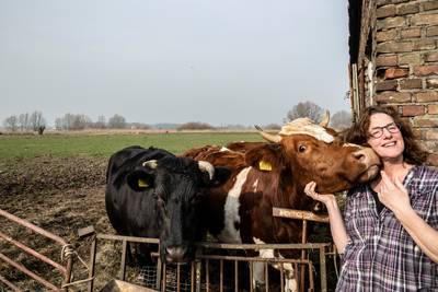 ‘Mijn man leert de koeien om kusjes te geven’