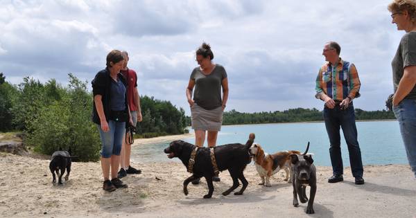 Wandelaars Budel: 'De Hoort heeft ook een sociale functie' - Eindhovens Dagblad