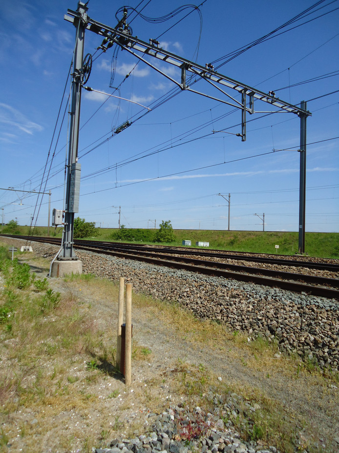 Er komen 70 geurpalen langs de HSL-Zuid.