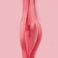 Wat iedere vrouw zou moeten weten over haar vulva