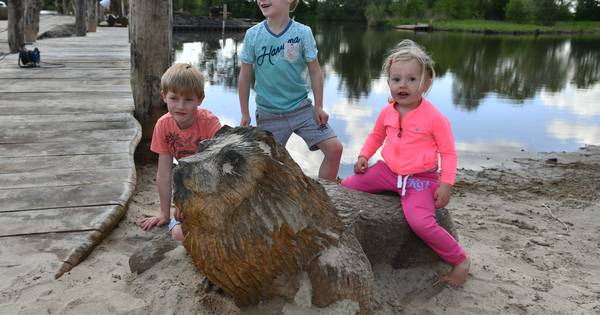 Pech in Beusichem: Blauwalg ongenode gast bij opening zwemseizoen De Meent