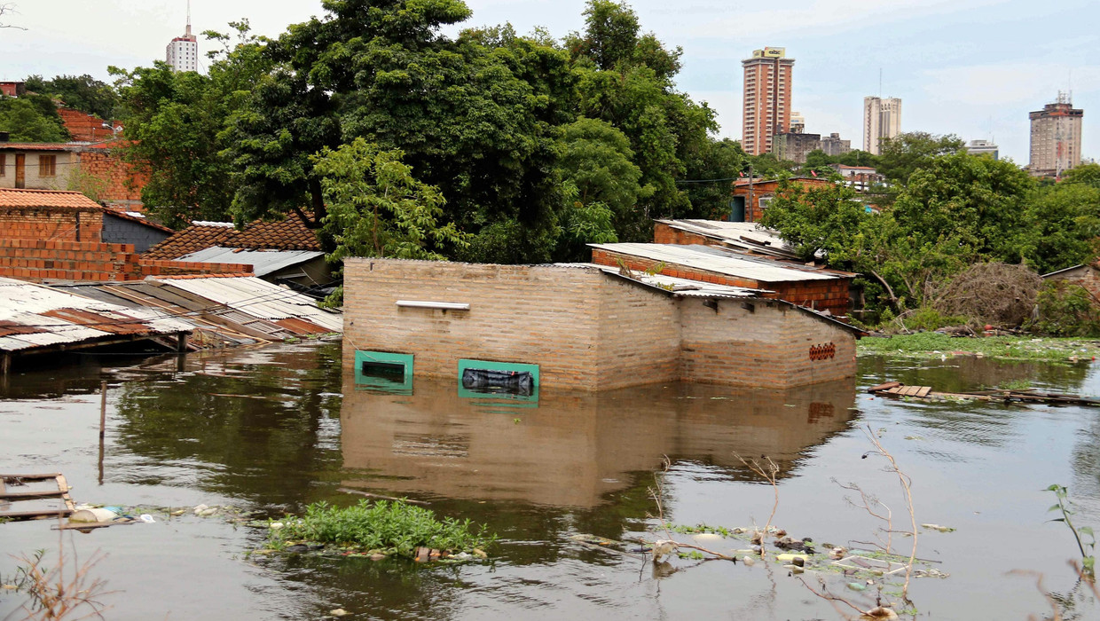 Overstromingen in Paraguay bedreigen miljoenen runderen ...