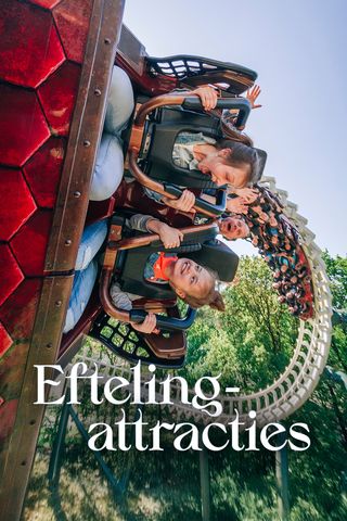 Efteling attracties