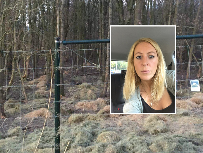 Kristel Bonke werd als eerste beboet voor het bijvoeren van grote grazers in de Oostvaardersplassen.