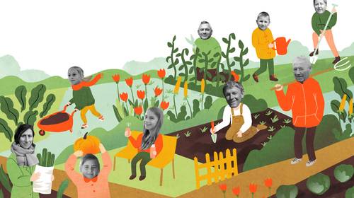 Moestuinieren is een hype