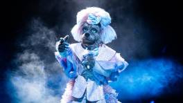Zo mooi! Kan Labradoodle 'The Masked Singer' winnen?