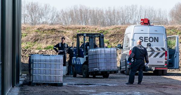Lepelstraatse 'cowboy' wist niks van cokewasserij bij zijn koeien - BN DeStem