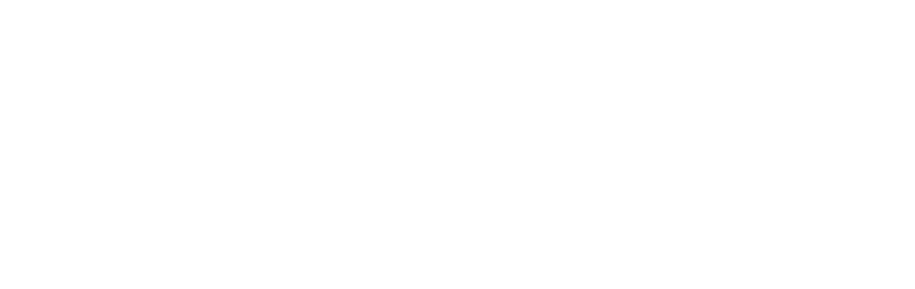 Christmas at the Plaza