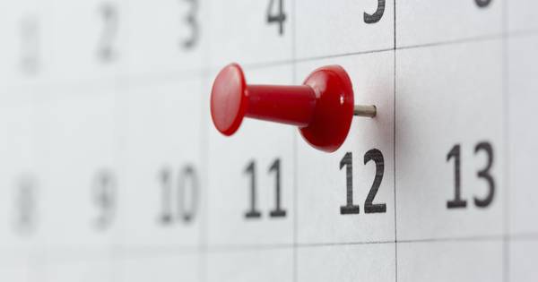 Stoompluimen in de Pluimweide Hoedekenskerke | Bevelanden - PZC