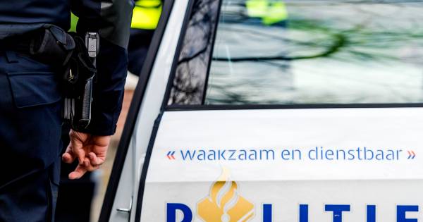 Twee tieners (16) uit Den Haag en Zoetermeer aangehouden voor overval op supermarkt .