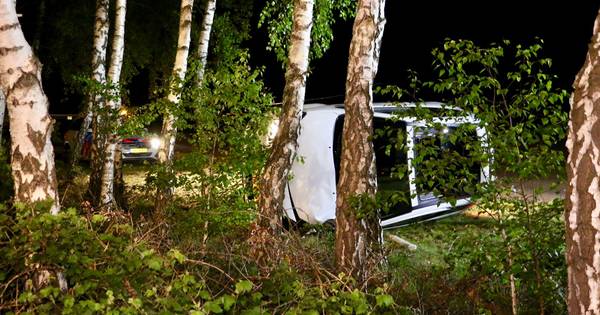 Automobiliste komt tegen boom tot stilstand op A1 bij Deurningen