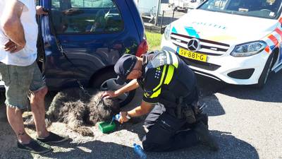 Man tankt verkeerde brandstof en zit zonder hulp in Kapel-Avezaath
