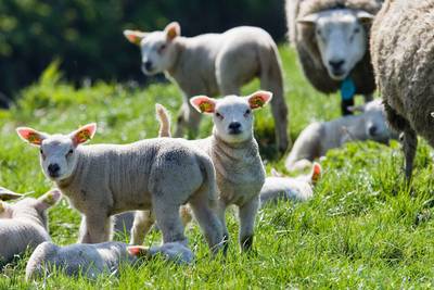 20 graden in zicht, uitzonderlijk vroeg dat het al zo warm is