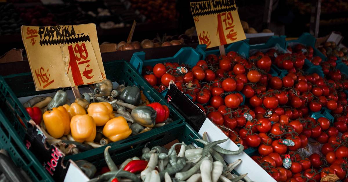 Fresh food is becoming more and more expensive: “If the prices of fruit and vegetables continue to rise, we will be more likely to remove them from the shopping list” |  Fit & Healthy