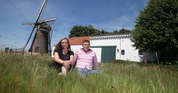 Molen Stokkum heeft eindelijk een nieuwe eigenaar | Montferland - De Gelderlander