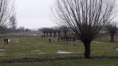 Zeer zeldzame dwaalgast trekt veel vogelaars naar Wageningse uiterwaarden