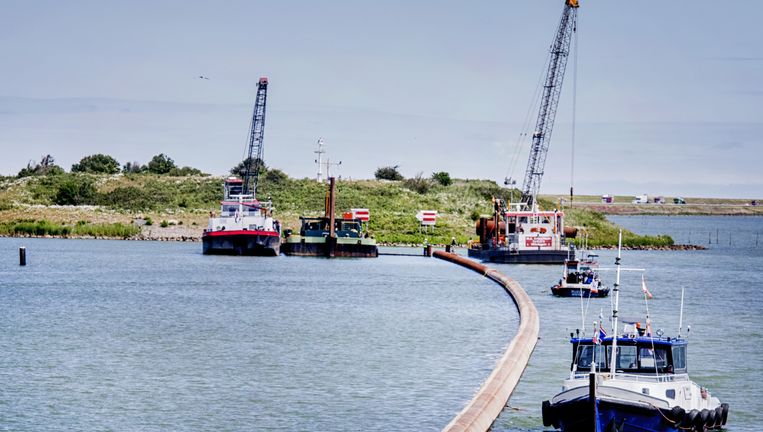 Wetenschap Vispassage Afsluitdijk groot succes - Volkskrant