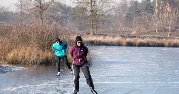 Schaatsen, het kan op de Hatertse en Overasseltse Vennen! - De Gelderlander