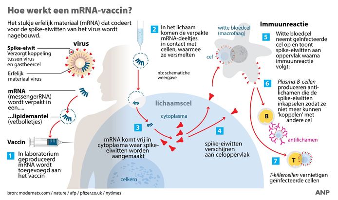 Hoe werkt een mRNA-vaccin?
