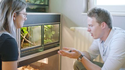 Aflevering 8