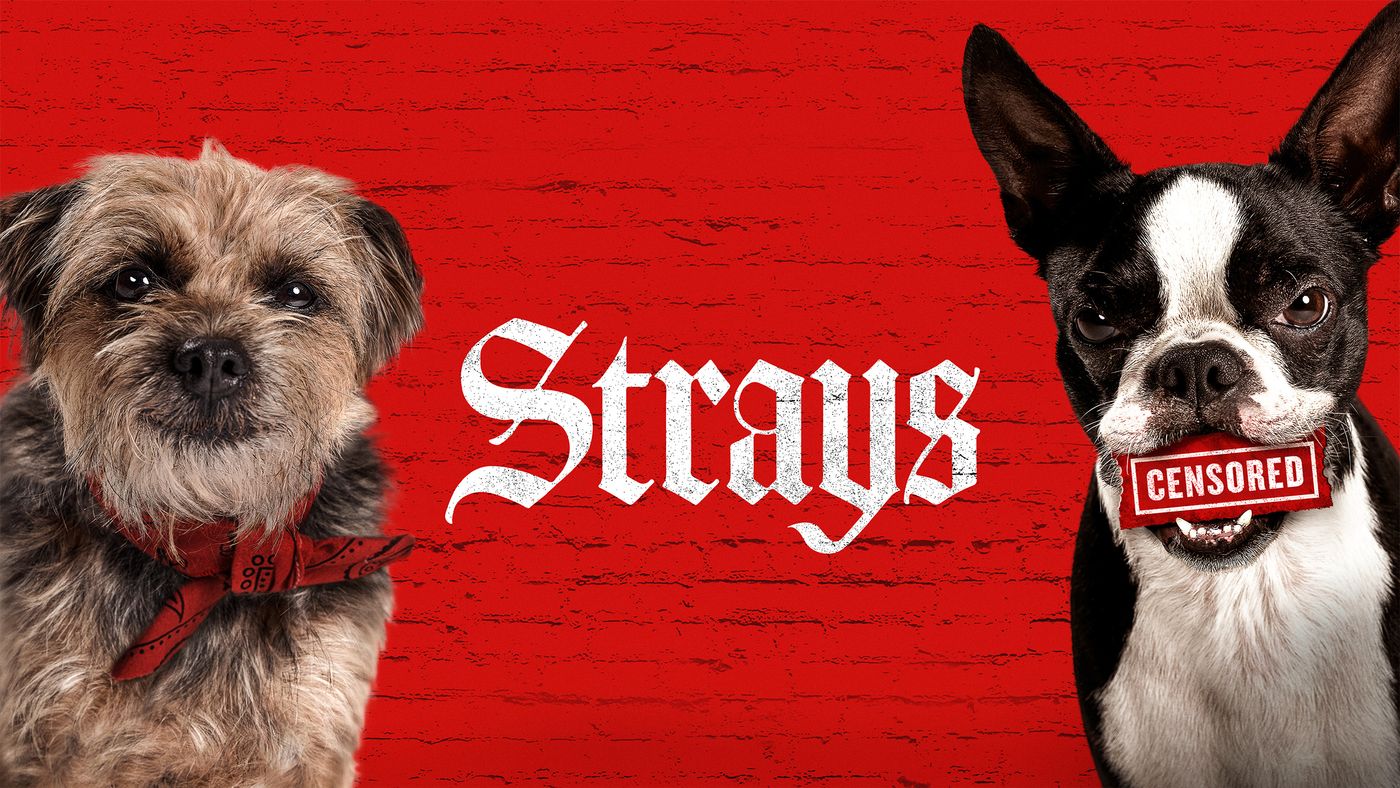 Strays - Online kijken - VTM GO