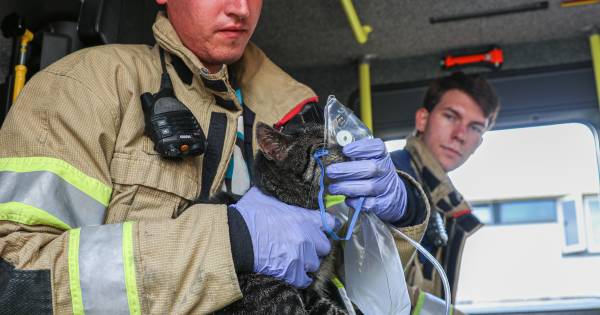 Dankzij snel en resoluut ingrijpen van de buren, zijn bij een felle brand in Emmeloord een moeder en twee kinderen uit een woning gered.