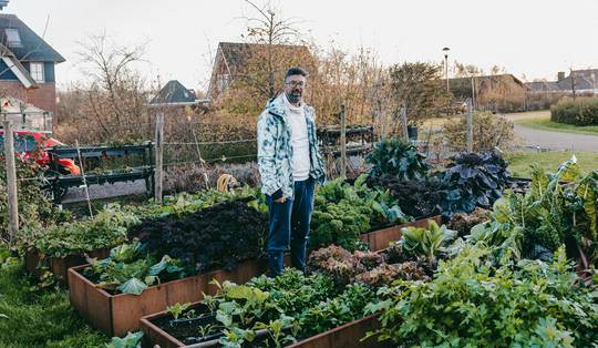Geen straten, geen regels, wel kippen en tomaten: hoe een Nederlandse wijk zichzelf wil voeden