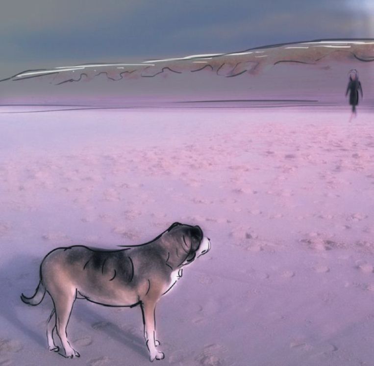 Gecondoleerd Met Jullie Hond Trouw