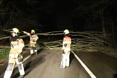 Boom waait om en valt op weg bij knooppunt Ressen