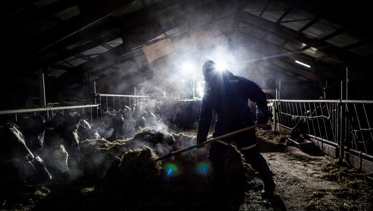 Volkskrant Ochtend: Plasterk blikt terug op politieke loopbaan en Syrische vluchteling werkt als boe