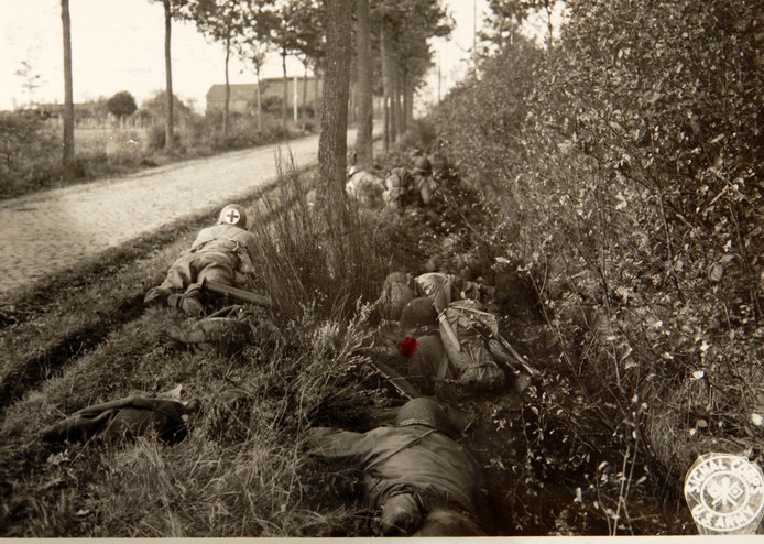 Amerikaanse Timberwolves in actie op de Ettenseweg in Rijsbergen