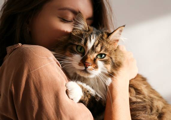 Vrouwen met déze sterrenbeelden zijn de beste kattenbaasjes