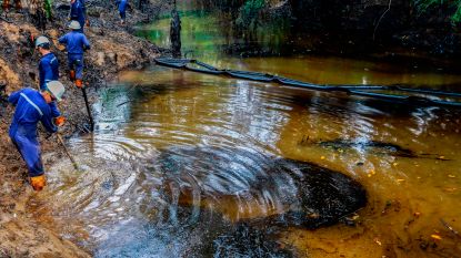 Massale dierensterfte door olielek in Colombiaanse rivieren: "Ramp voor omgeving en de dieren"