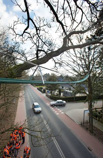 Rheden ziet na kritiek af van touwbruggen voor eekhoorns